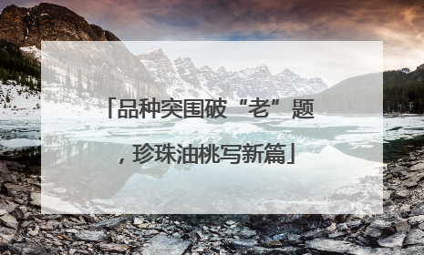品种突围破“老”题，珍珠油桃写新篇